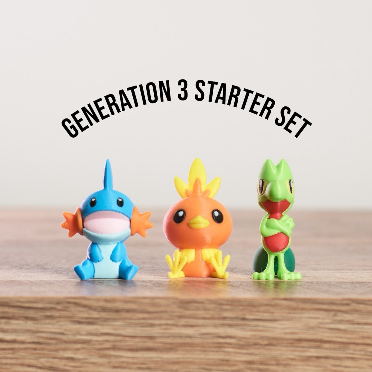 Treecko, Mudkip, and Torchic Generation 3 Starters Set PokePrints, image size:1200x1200