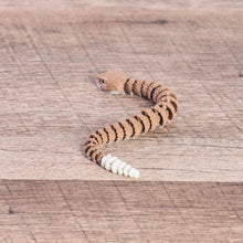 Load image into Gallery viewer, Rattlesnake ZooPrint Flexi