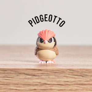 Pidgey, Pidgeotto, and Pidgeot Evolution Set PokePrints