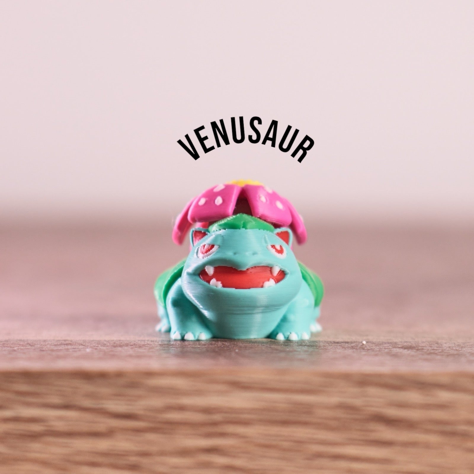 ミュウ様オーダー Venusaur PokePrint – Retro Rewind Pops