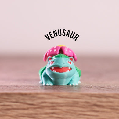 Venusaur PokePrint