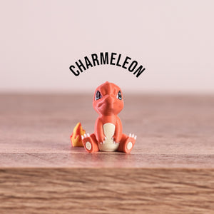 Charmander, Charmeleon, and Charizard Evolution Set PokePrints